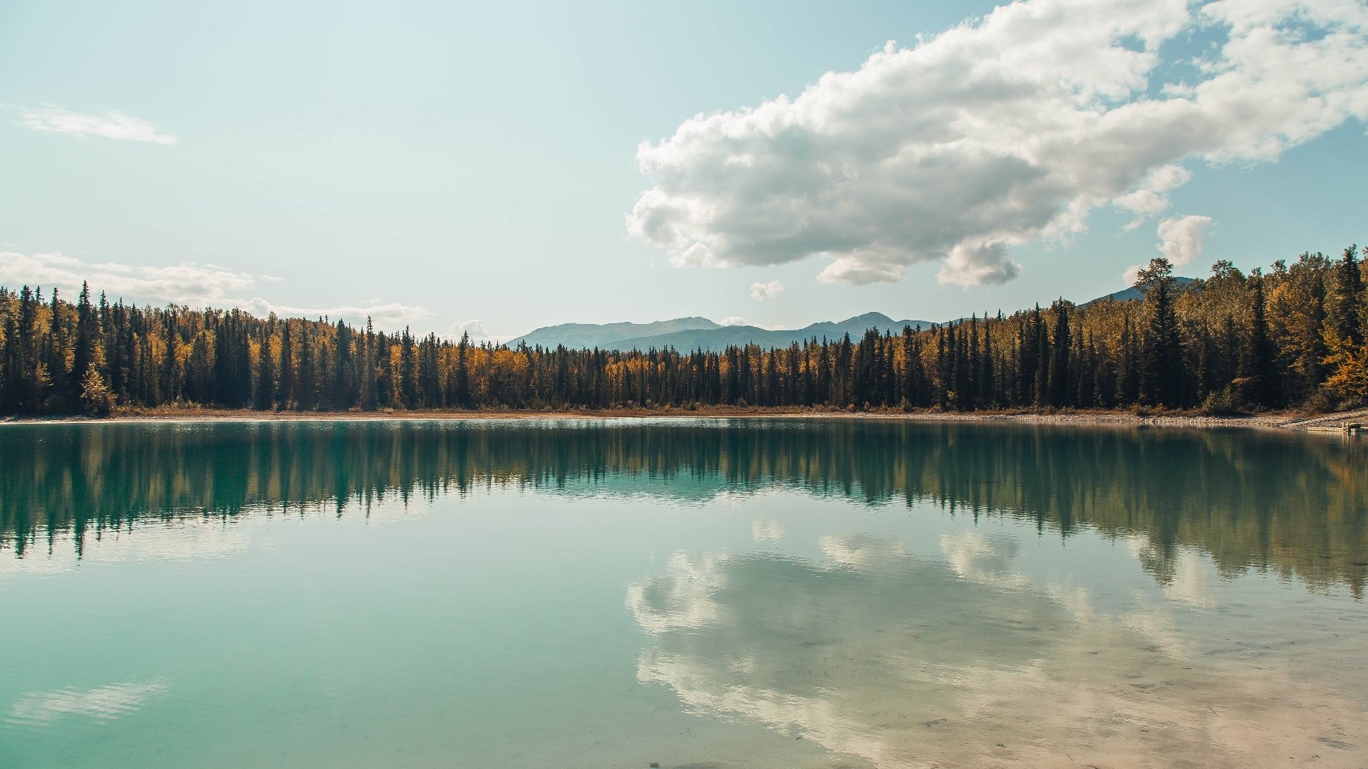 世纪暴风，塔图姆数据引爆美加墨世界杯之夜