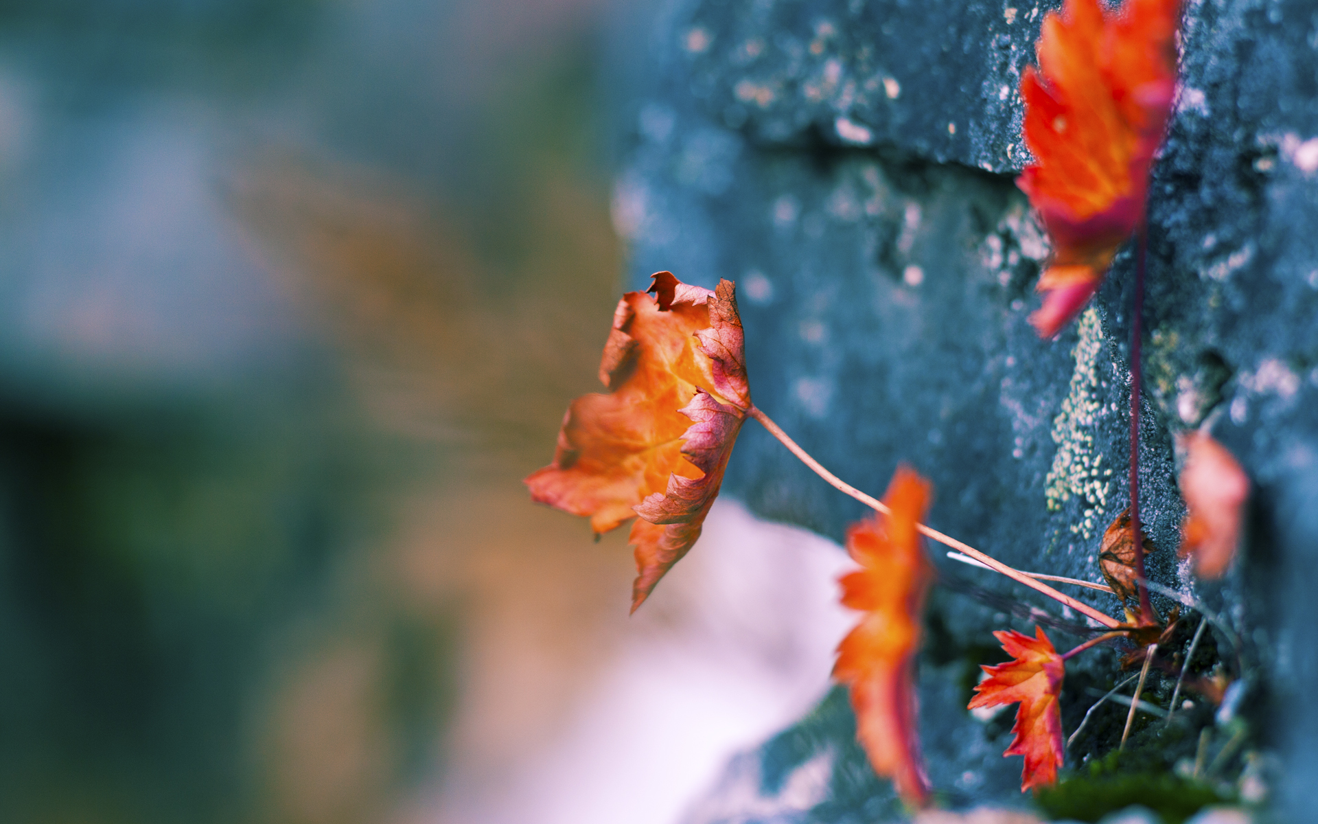 孙兴慜节奏完全掌控，马德里竞技对阵那不勒斯的战术盛宴
