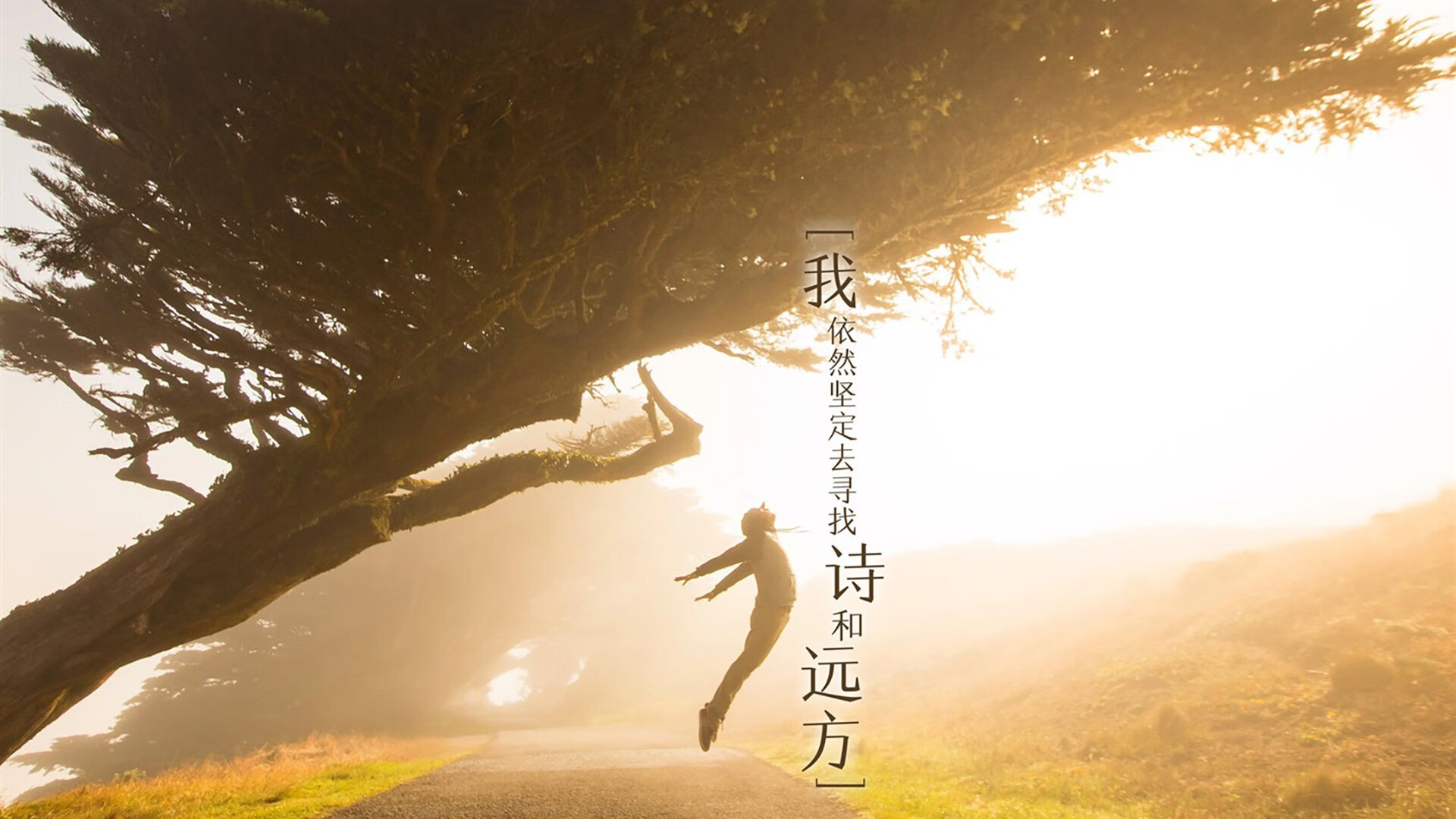 从铁血配角到关键先生，武切维奇在嘘声中重铸公牛心脏