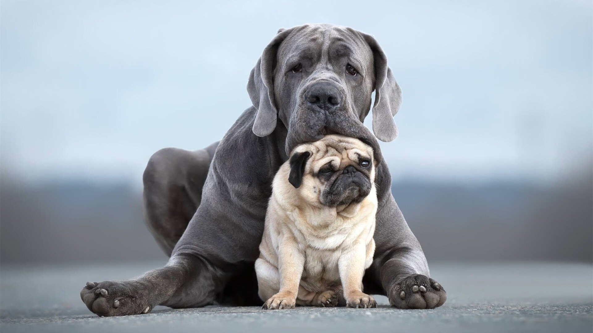 跨越大陆的冠军试炼，当墨西哥铁血遇上尼斯星光，孔德如何定义冠军级