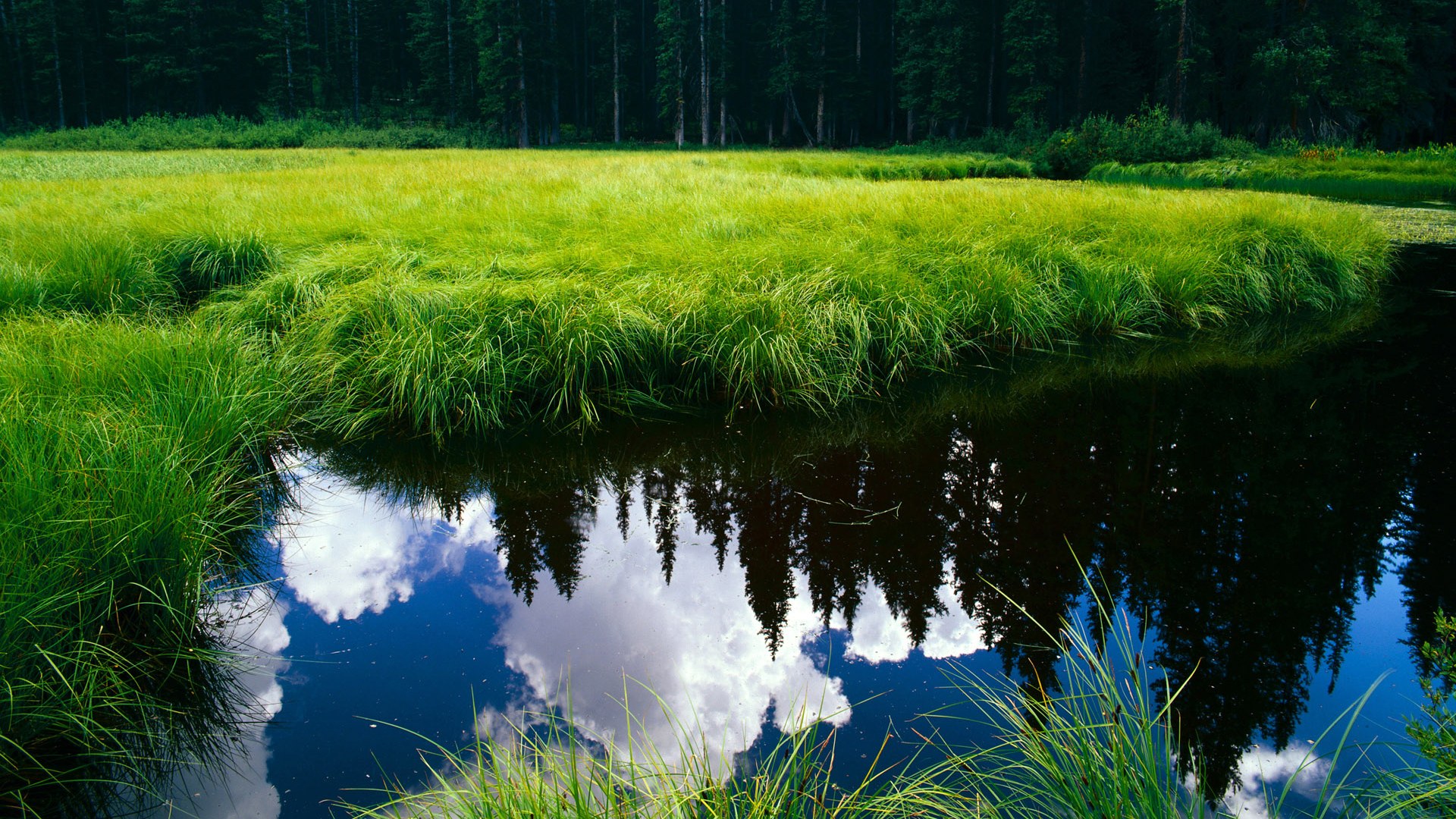 北京长城踏平好莱坞星光,英格拉姆封神之夜无争议