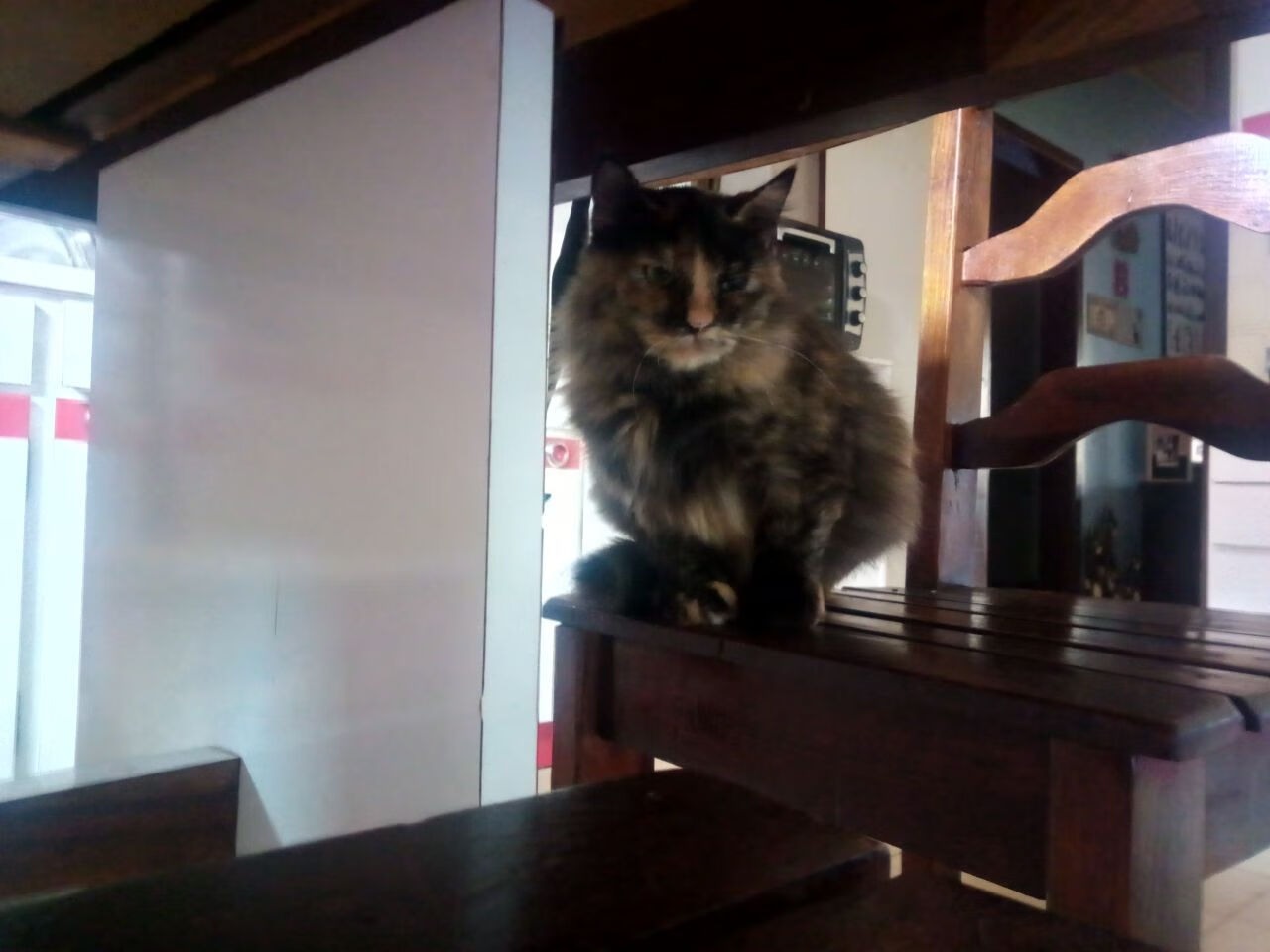 战术铁幕与进化之光,尼克斯如何用整体篮球封印太阳,切特为何当之无愧?