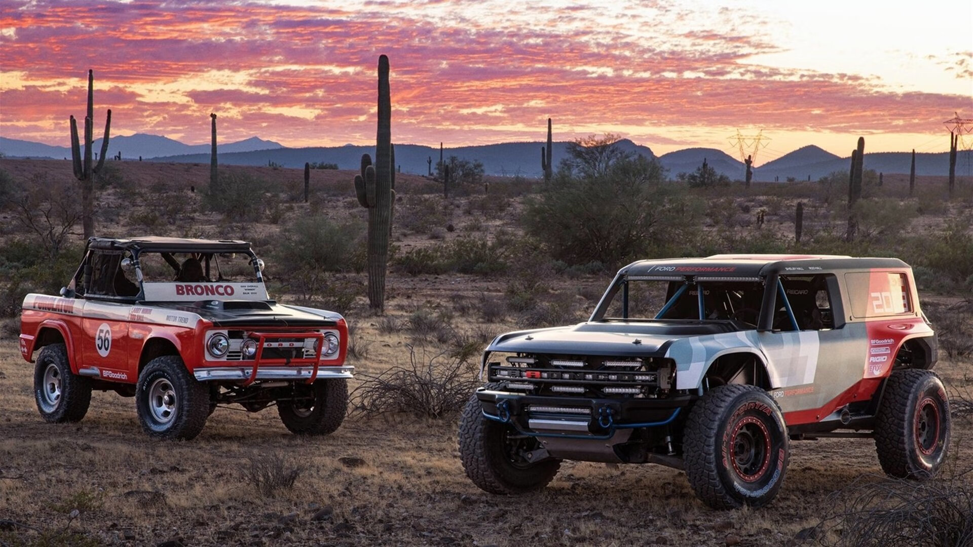 巴斯托尼节奏完全掌控，日本队粉碎希腊神话