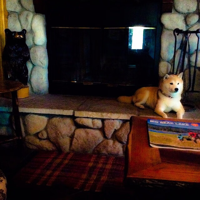 世纪之战！2026世界杯焦点，雷霆强势晋级，开拓者含泪离场