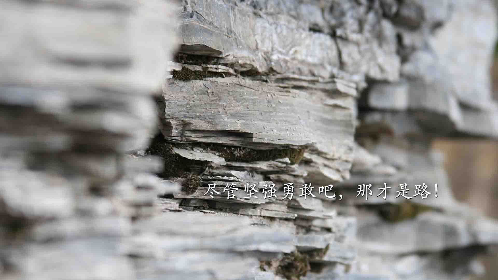 欧冠淘汰赛焦点战，厄瓜多尔踏平突尼斯，南美黑马震撼欧洲足坛