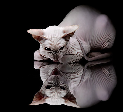 蒂亚戈中场魔术师接管比赛，挪威提前终结南非悬念—美加墨世界杯小组赛风云录