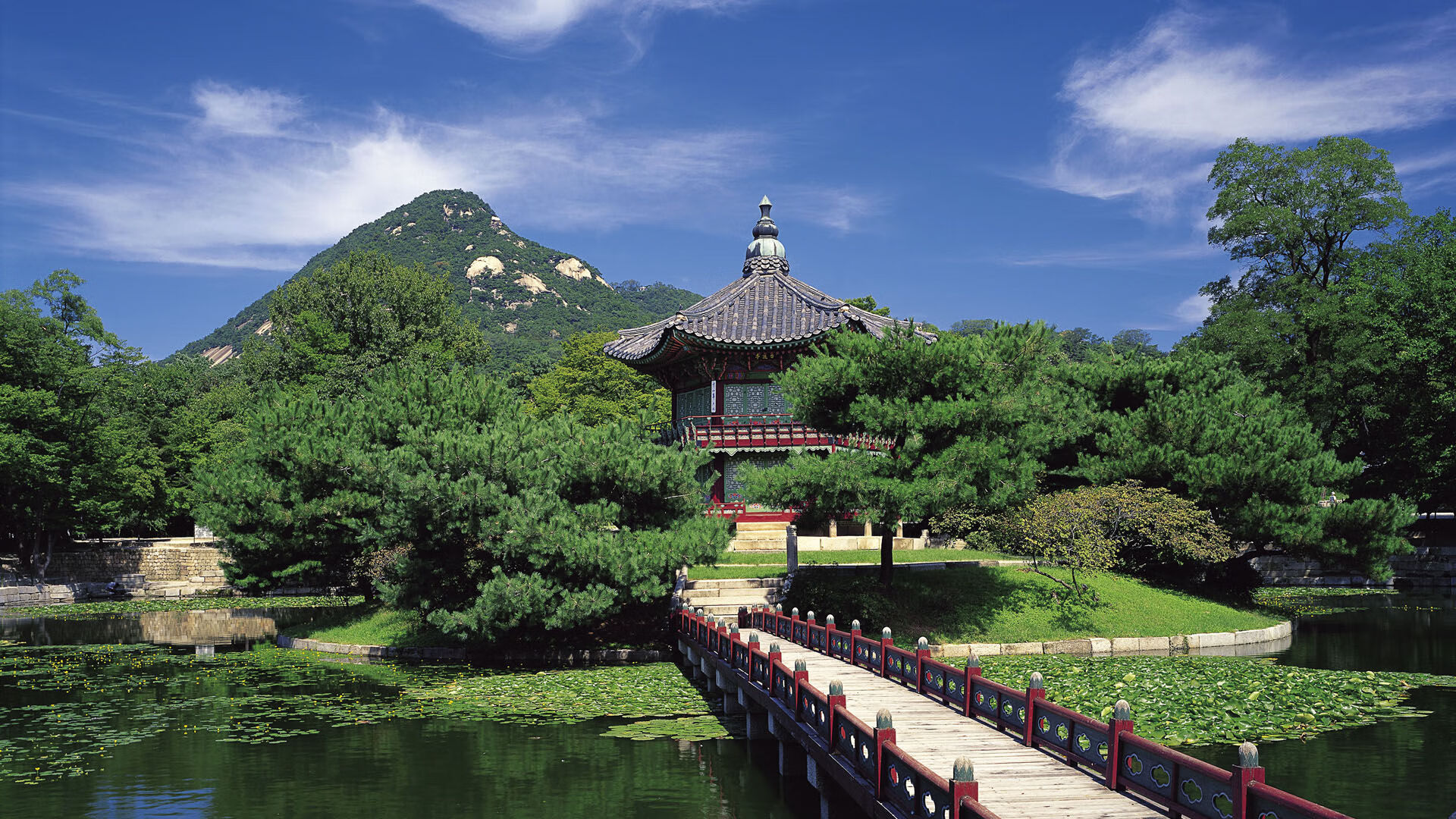 开云官网-德国心脏驱动斗牛士之舞，哈弗茨如何为西班牙注入逆转基因？